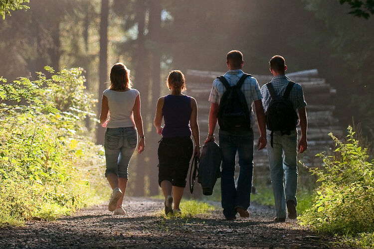 Wandern durch die Sauerländer Wälder 